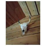Mounted Longhorn Steer Skull with Horns