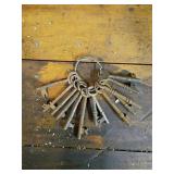 12 Old Iron Skeleton Keys on Ring