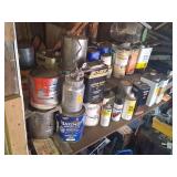 Garage Paints, Solvents, Chemicals Lot