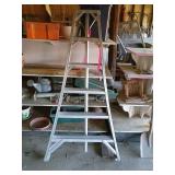 Aluminum Orchard Ladder, 6 Foot