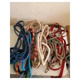 Horse Reins and Leads Assortment