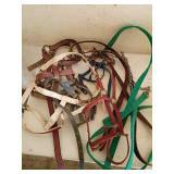 Horse Harnesses and Leads