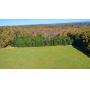 Online Edinboro 35ac property Auction