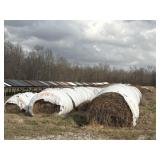 312 ROLLS WHEAT HAY, 2 YR