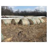 140 ROLLS, WHEAT, 2 YR