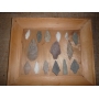 Public Estate Auction #438