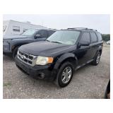 2010 Ford Escape