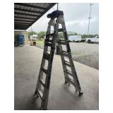 Werner 20 Ft Ladder