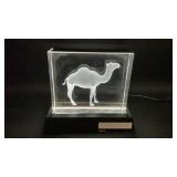 Camel Glass Block Lighted Display