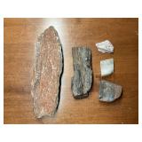Petrified Wood and Rock Specimens