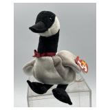 TY - ï¿½Loosyï¿½ with protective display case