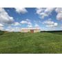 266+/- ACRES in MT VERNON, IN at ABSOLUTE AUCTION!