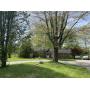 3 BED, 1 BATH RANCH HOME on 4.10 ACRES