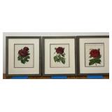 3 Red Rose Framed Prints