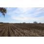 202+/- PRIME ACRES in HAUBSTADT, IN  Sale Pending