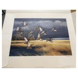 Maynard Reece "Dark Sky" Mallard Print