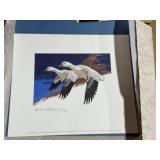 1977 Federal Duck Stamp Print