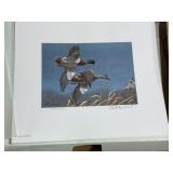 1980 Federal Duck Stamp Print