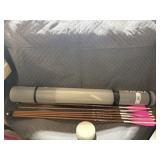 6 Carbon Express Heritage 350 Arrows