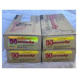 Hornady 450 Bushmaster Ammo - 80rds. 250gr. FTX
