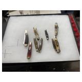 Display Case with Assorted Pocket Knives