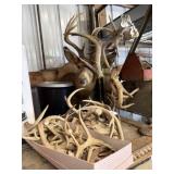 Deer Mount & Lot of Antlers