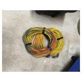 2 Electrical Extension Cords