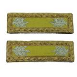 Lt. Col. Cavalry Union Shoulder Straps
