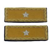 Brig. General Cavalry Union Shoulder Straps