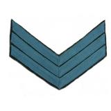 CS Sgt. Blue - Infantry Chevrons