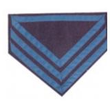 US Q.M. Sgt. Co. Blue - INF Chevrons