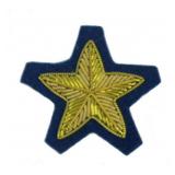 5 Star Blue - Infantry  CS Collar Insignia