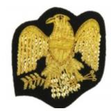 Mtd Officer Saddle  Eagle