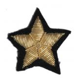 5 Star Black - Staff  CS Collar Insignia