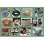 LARGE LOT OF COLLECTIBLES, HOUSEWARES, HOME DECOR AND MORE!