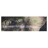 2 Man Crosscut Saw