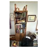 Nice Bookcase Full of Books