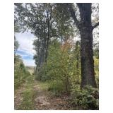 Tract #3: 2.8+/- Acres with Small Lake