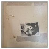 Collectible Record Album