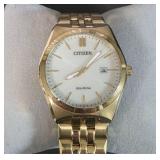 Citizen Eco Dive Watch