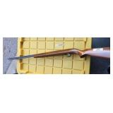 Sears & Robuck  22 Rifle