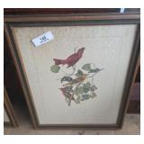 Audubon Framed Artwork