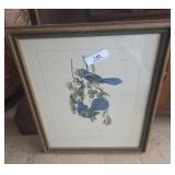 Audubon Framed Artwork