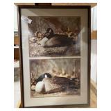 Framed Goose Photo