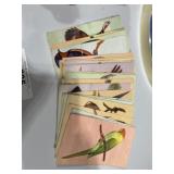 Set of Wildlife Cards