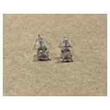 Princess Cut Solitare Earrings