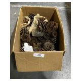 Large Box of Pine Cones & Wooden Trunk
