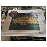 St. Louis Cardinals Collectible