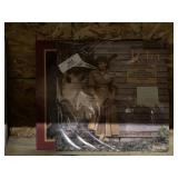 Lot of Collectible Records