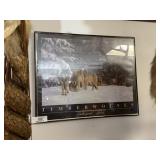 Timber Wolves Print